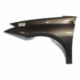 Kotfl?gel Links Vorne 631010032R Renault Laguna III (BT) Schr?gheck 2.0 dCi 16V 130 (M9R-802) 2010-05