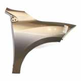 Kotflügel Rechts Vorne 631005149R Renault Megane III Coupe (DZ) Schrägheck 3-drs 1.9 dCi (F9Q-872(F9Q-P8)) 2009-06