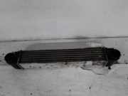 Wärmewechsler 17512247359 BMW 5 serie (E39) Limousine 530d 24_V (M57-D30) 1999-07