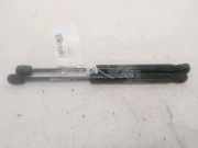 Gasdruckfeder Vorne LR025400 Land + Range Rover Range Rover Evoque (LVJ/LVS) SUV 2.2 SD4 16V (224DT) 2013-12