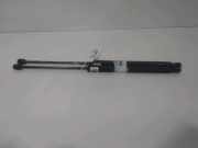 Gasdruckfeder Links Hinten 1757865 Ford B-Max (JK8) Großraumlimousine 1.0 EcoBoost 12V 100 (SFJA) 2014-03