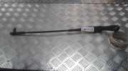Scheibenwischer Vorne LEFT/LINKS 6429AL Peugeot 207/207+ (WA/WC/WM) Schrägheck 1.6 HDi 16V (DV6ATED4(9HX)) 2008-01