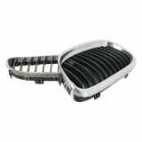 Grill Zierliste 51137201969 BMW 3 serie (E90) Limousine 318d 16V (N47-D20C) 2008-11