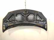 Motorhaube Renault Twingo II (CN) Schrägheck 3-drs 1.5 dCi 70 (K9K-740) 2009-01