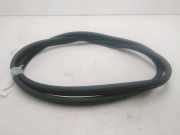 T?rgummis Rechts Vorne C2Z32598 Jaguar XF (CC9) Limousine 3.0 S D V6 24V (306DT) 2009-05