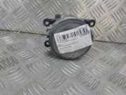 Nebelscheinwerfer Links Vorne 8200074008 Renault Grand Sc?nic II (JM) Gro?raumlimousine 1.9 dCi 130 (F9Q-818) 2007-04