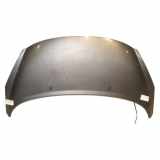 Motorhaube 7901N2 Peugeot 207 SW (WE/WU) Kombi 1.6 HDi 16V (DV6ATED4(9HX)) 2008-01