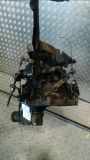 Getriebe Manuell 55206276 Fiat Panda (169) Schrägheck 1.3 JTD 16V Multijet 4x4 (188.A.8000) 2006-06