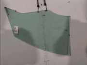 T?rscheibe Links Vorne 803018125R Renault CLIO 4 PHASE 2 2019-03