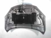 Motorhaube 651009018R Renault Megane III Berline (BZ) Schrägheck 5-drs 1.6 Energy dCi 130 (R9M-402(R9M-A4)) 2013-05