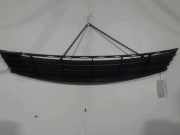 Grill BUMPER Renault Clio III (BR/CR) Schrägheck 1.5 dCi 85 (K9K-766) 2006-07