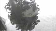 Motor DIESEL Opel 2 B 2011-02