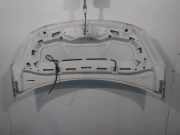 Motorhaube 7901R1 Citroën C3 (SC) Schrägheck 5-drs 1.6 HDi 92 (DV6DTED(9HP)) 2014-01