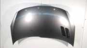 Motorhaube 7901R5 Peugeot 206+ (2L/M) Schrägheck 1.1 XR,XS (TU1JP(HFX)) 2009-09