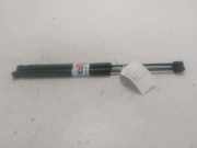 Gasdruckfeder Rechts Hinten 8200583852 Renault Clio III Estate/Grandtour (KR) Kombi 1.5 dCi 85 (K9K-766) 2009-11