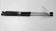 Gasdruckfeder Rechts Hinten 8200299546 Renault Clio III (BR/CR) Schrägheck 1.2 16V 75 (D4F-740) 2013-01