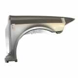 Kotfl?gel Rechts Vorne 8201094795 Renault Laguna II (BG) Schr?gheck 5-drs 2.0 16V IDE (F5R-700) 2002-02