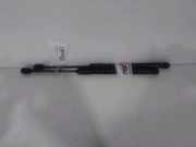 Gasdruckfeder Rechts Hinten 904510001R Renault Megane III Berline (BZ) Schrägheck 5-drs 1.5 dCi 110 (K9K-837(K9K-N8)) 2013-06