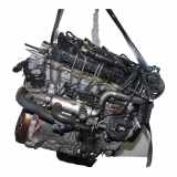 Motor DIESEL 135QF Citroën C4 Berline (LC) Schrägheck 5-drs 1.6 HDi 16V (DV6ATED4(9HX)) 2009-03