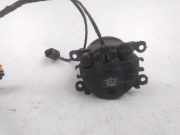 Nebelscheinwerfer Links Citroën C5 II Break (RE) Kombi 2.0 HDiF 16V (DW10BTED4(RHR)) 2005-07