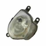 Tageslicht Fiat 500 (312) Schrägheck 1.2 69 (169.A.4000) 2010-12