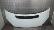 Motorhaube Ford Transit Van 2.2 TDCi 16V (SRFA) 2011-06