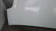 Motorhaube Renault MASTER 2 PHASE 3 2009-04