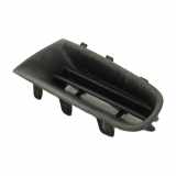 Grill Gitter Rechts Renault Clio III (BR/CR) Schr?gheck 1.2 16V 75 (D4F-740) 2008-06