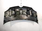 Motorhaube 651006821R Renault Twingo III (AH) Schrägheck 5-drs 1.0 SCe 70 12V (H4D-400(H4D-A4)) 2019-03