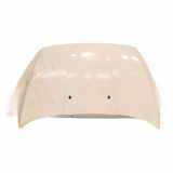 Motorhaube 2089494 Ford Ka+ Schr?gheck 1.2 Ti-VCT (YSKD) 2019-02