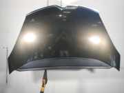 Motorhaube 7901N7 Citroën C4 Grand Picasso (UA) Großraumlimousine 1.6 HDiF 16V 110 (DV6TED4(9HY)) 2010-07