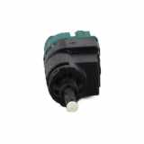 Bremslichtschalter 253203383R Renault Zoé (AG) Schrägheck 5-drs R135 (5AQ-605) 2019-11