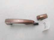 T?rgriff Au?en Ra LR040667 Land + Range Rover Range Rover Evoque (LVJ/LVS) SUV 2.2 SD4 16V (224DT) 2013-12