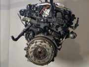 Motor DIESEL 135KE Peugeot 407 (6D) Limousine 2.0 HDiF 16V (DW10BTED4(RHR)) 2005-05