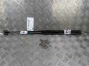 Gasdruckfeder Rechts Hinten ACHTERKLEP 8731E3 Citroën Xsara (N1) Schrägheck 1.6 16V (TU5JP4(NFU)) 2001-09