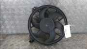 Kühlerventilator 1253Q7 Peugeot Expert (G9) Van 2.0 HDi 120 (DW10UTED4(RHK)) 2007-11