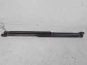 Gasdruckfeder Rechts Hinten 5160017AB Dodge Caliber Schrägheck 2.0 CRD 16V (BYL) 2006-07