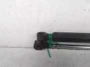 Gasdruckfeder Rechts Hinten 8731G6 Peugeot 807 Großraumlimousine 2.2 HDiF 16V (DW12TED4(4HW)) 2005-06