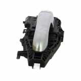 Türgriff Außen Ra 735670461 Fiat 500X (334) SUV 1.3 16V (55282328) 2019-08