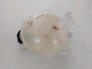 Ausgleichbehälter 9800777280 Citroën C3 (SX/SW) Schrägheck 1.5 Blue HDi 100 16V (DV5RD(YHY)) 2022-01