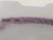 Scheibenwaschbehälter Vorne 1708690320 Mercedes-Benz SLK (R170) Cabrio 2.0 200 16V (M111.946) 1998-07