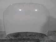 Motorhaube 6R0823031G Volkswagen Polo V (6R) Schrägheck 1.6 TDI 16V 90 (CAYB) 2011-07 CAYB