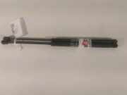 Gasdruckfeder Rechts Hinten 46744596 Fiat Punto II (188) Schrägheck 1.2 60 S (188.A.4000) 2001-12