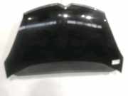 Motorhaube 7901N7 Citroën C4 Grand Picasso (UA) Großraumlimousine 1.6 HDiF 16V 110 (DV6TED4(9HZ)) 2010-10