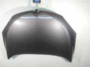 Motorhaube 651009018R Renault Megane III Berline (BZ) Schrägheck 5-drs 1.6 Energy dCi 130 (R9M-402(R9M-A4)) 2013-05