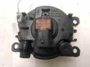 Nebelscheinwerfer Links Vorne 8200074008 Renault Megane III CC (EZ) Cabrio 1.9 dCi (F9Q-870(F9Q-N8)) 2010-06