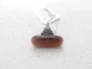 Blinker Scherm Rechts Vorne 8200257684 Renault Clio II (BB/CB) Schrägheck 1.9 D (F8Q-630) 2000-07