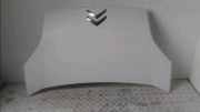 Motorhaube 7901Q1 Citroën Nemo (AA) Van 1.4 HDi 70 (DV4TD(8HS)) 2010-07