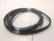 Türgummis Links Vorne 8200638077 Renault Twingo II (CN) Schrägheck 1.2 16V (D4F-772) 2009-07