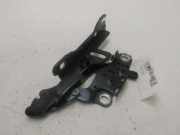 Motorhaubescharnier Links 41617286343 BMW 3 serie Touring (F31) Kombi 316d 2.0 16V (B47-D20A) 2016-09